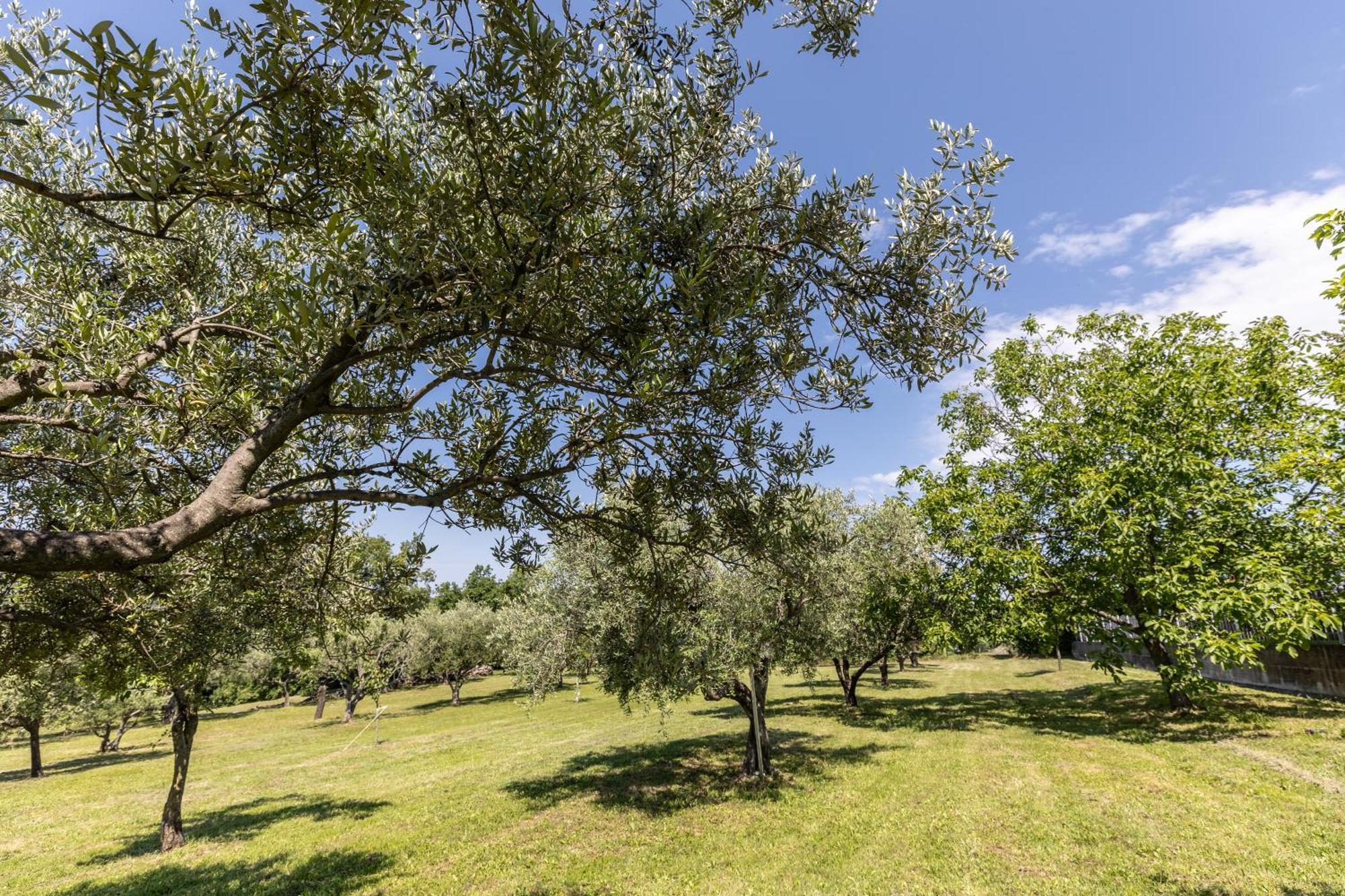 Affittacamere Cigui Múggia Exteriör bild